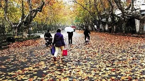 杭州这9处风景你不能错过 - 金玉米图片