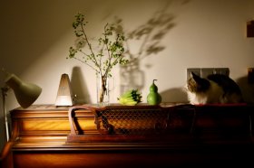  �����֡����١�����«����»