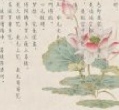 �����롶���������۶��ľ�������