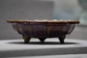 ����  ��Ҥõ�������⻨ʽ���㻨����