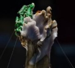 �� �� �������ײ�