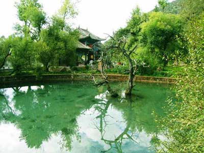 ��������̤����Ƽ�