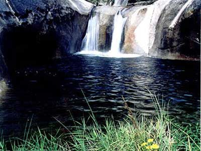 ��������̤����Ƽ�