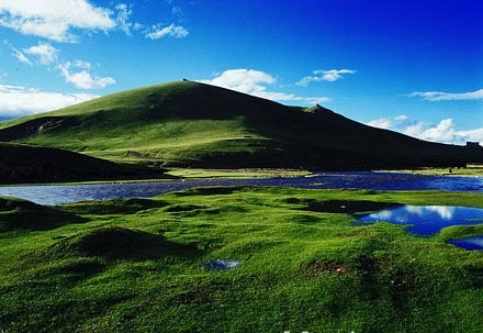 �����ߺ���ԭ�����أ�