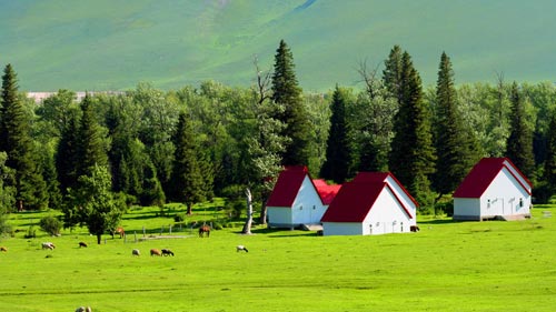 �����ԭ���½���