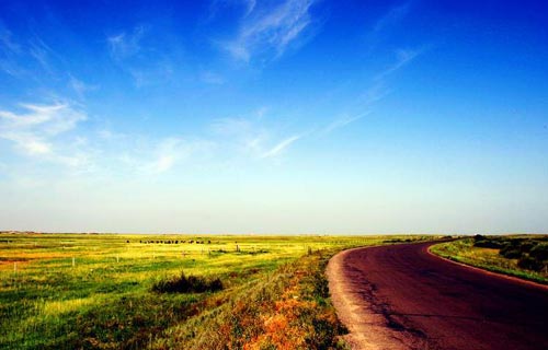 ���ױ���������ԭ�����ɹţ�