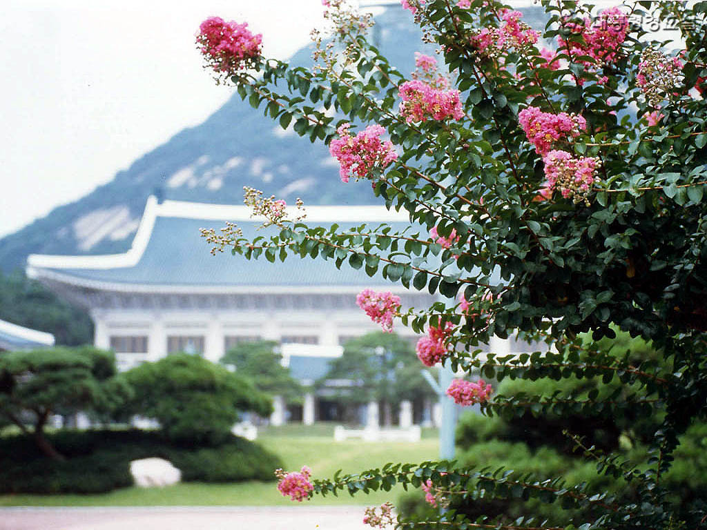 ������ͳ������̨ͼƬ