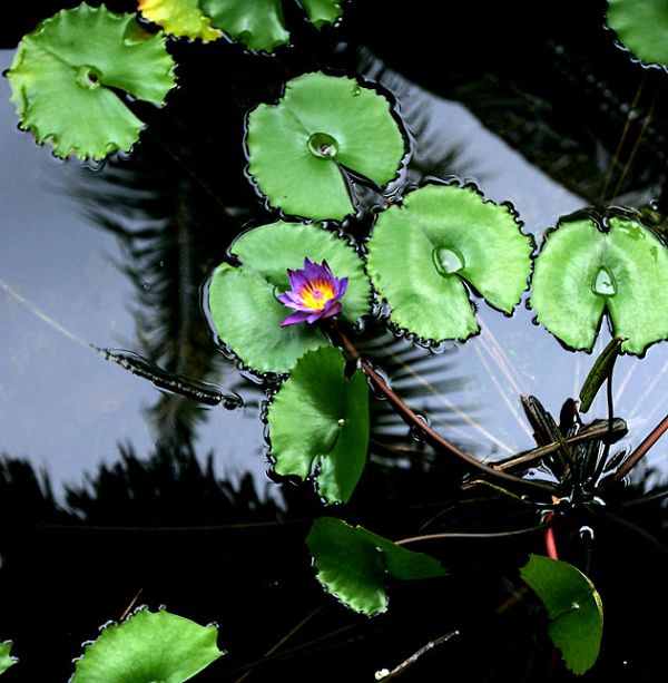 �λò���������