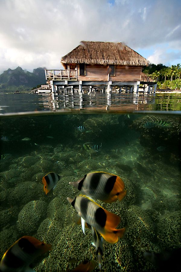 �λò���������