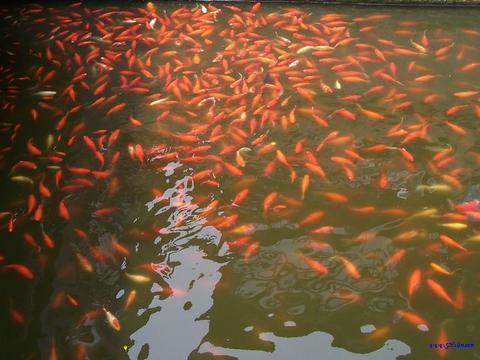 �������Ϻ�������С��