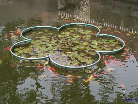 �������Ϻ�������С��