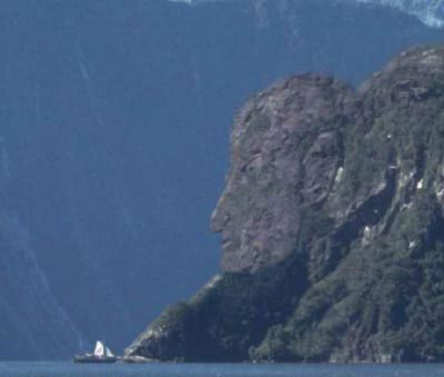  ˹������ά�ǰ뵺��Ͽ���⡪����ô��һ��ʨ��������