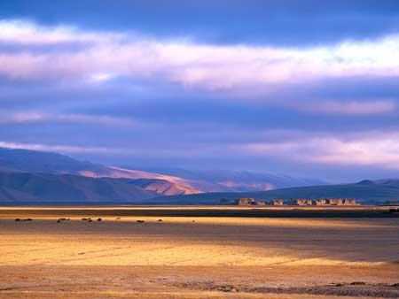 神秘、奇特的景观