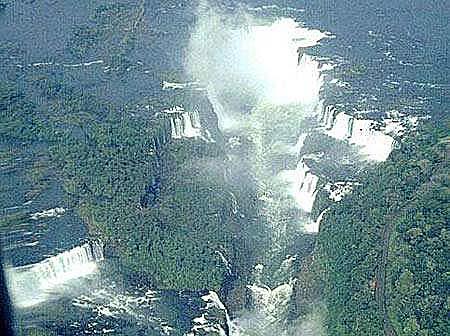 �����Ǻ����δ�����ɭ��(����͢��������Ͱ���)