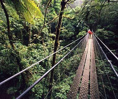 Santa Elena and Monteverde Cloudɭ�ֱ�����(��˹�����)��
