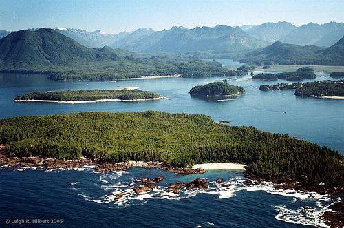Clayoquot Sound(���ô�)