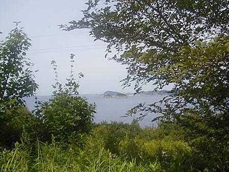 Primorsky Kray(����˹)