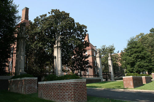 ���������һ��ͼƬ