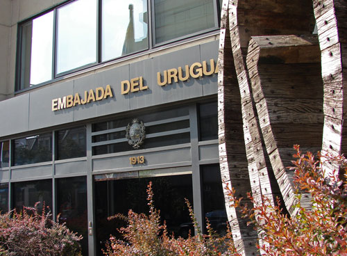 ���������һ��ͼƬ