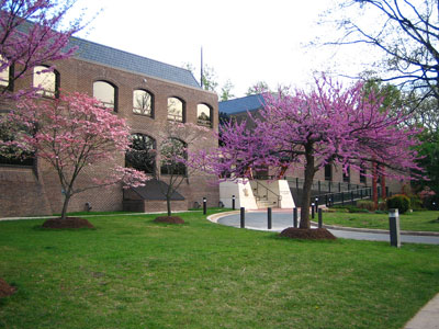 ���������һ��ͼƬ