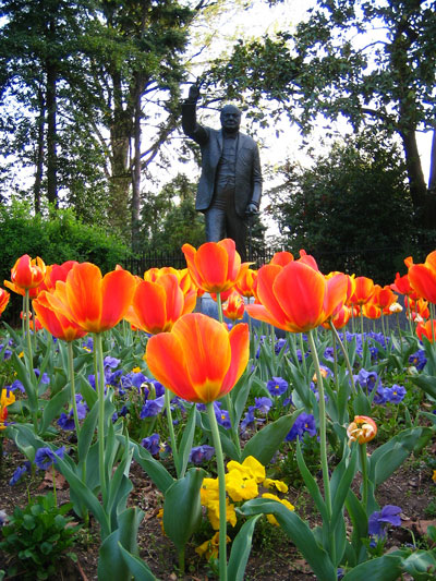 ���������һ��ͼƬ