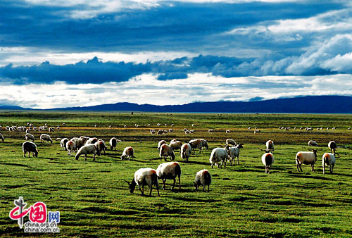 �����ߺ���ԭ