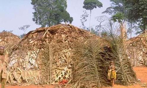 ���ư�������������Ȥ�Ľ���(��ͼ)