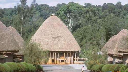 ����������Ȥ�Ľ���