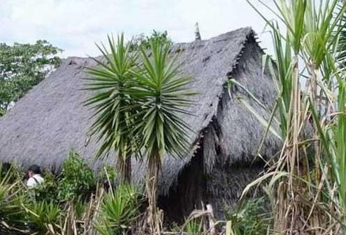 ����������Ȥ�Ľ���