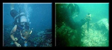 ����ȫ���ߴ�ˮ�¹ų�