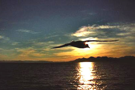 �����������˾�̾��6��Ⱥ��4