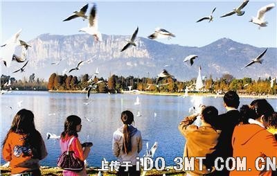 �й��˴������ı����������ȫ����(ͼ)