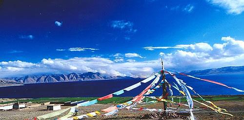 异常冷寂的潜伏在文布荒原上