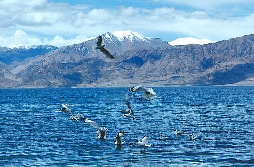 西藏神秘的圣湖