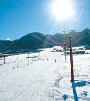 �����Ȼ�ѩ����ɫ����