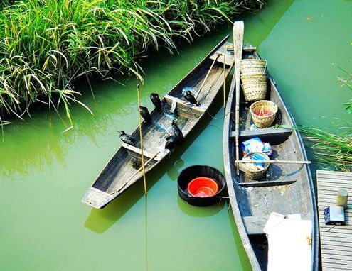 ������Ϫʪ�ع�԰