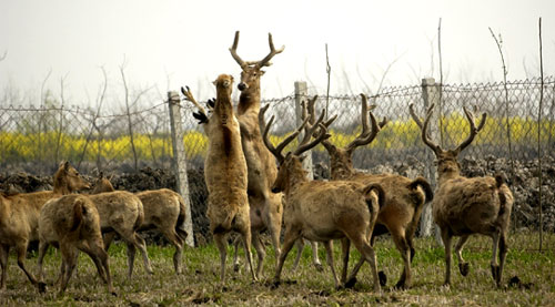 �����ں�ʪ�ع�԰