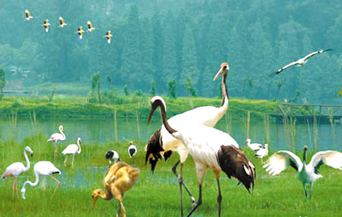 �㶫�Ǻ�����ʪ�ع�԰