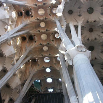 ��7.����������������ʥ�������