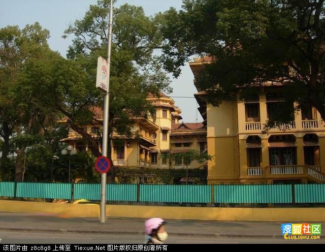 ��Ѫ��������������鿴��ͼ