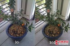 ������ɶ��ͬ ƻ��iPhone 3GS/3G�Ա�