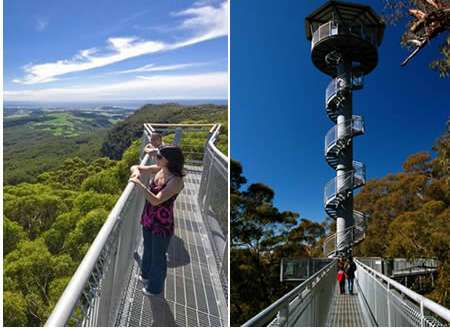 ȫ��ʮ����չ۾�̨��������˹�������ʶ�(2)