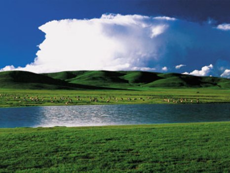 �����ߺ���ԭ