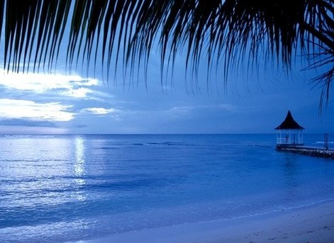 ̽����������̲�ȼٵأ����ձ�ʥ���ص�(ͼ)(2)