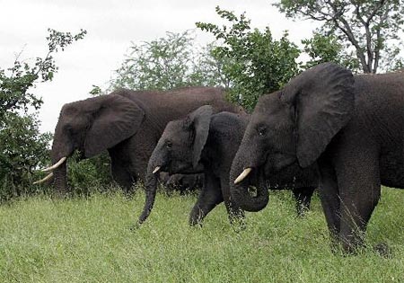 �����ϵ�ʮ���˼����ã��Ϸ�(��ͼ)