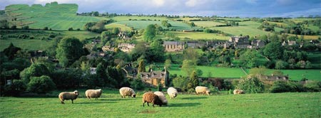 Ӣ�����Ŀƴ��ֶ���(��ͼ)