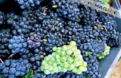 �������ġ����Ǵ���