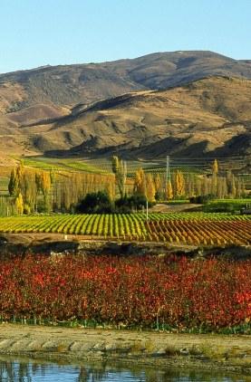 ��������������