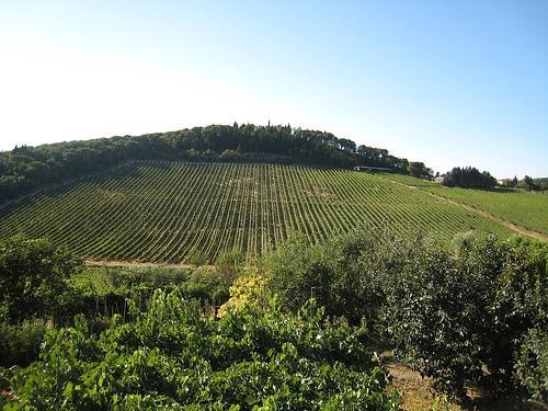 �������˹������