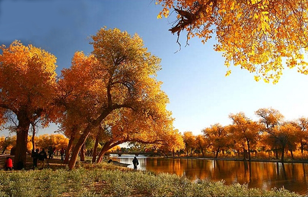 �������´������ͼƬ